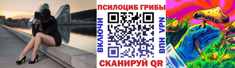 Псилоцибиновые грибы Psilocybe  Александровское 